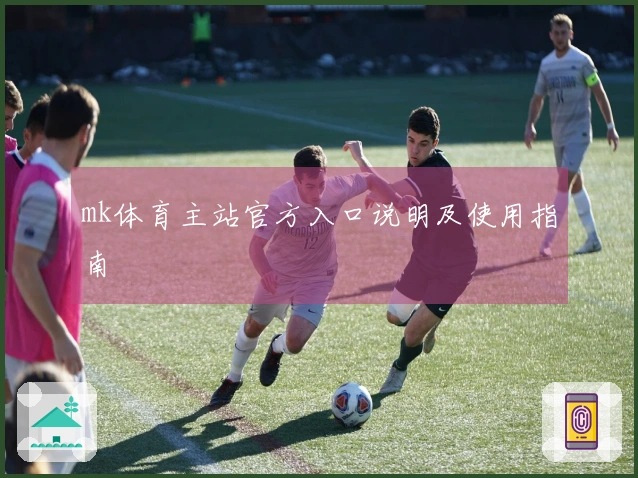mk体育主站官方入口说明及使用指南