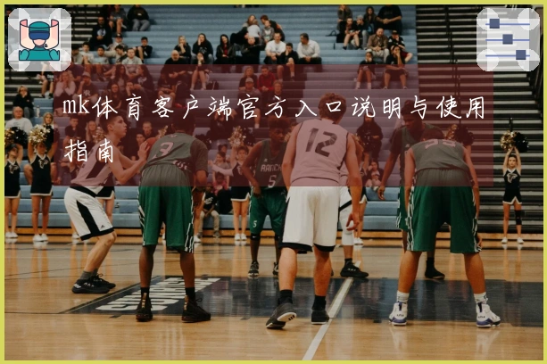 mk体育客户端官方入口说明与使用指南
