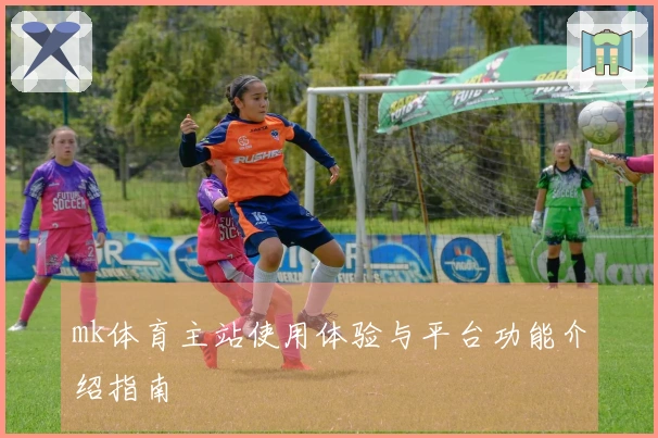 mk体育主站使用体验与平台功能介绍指南